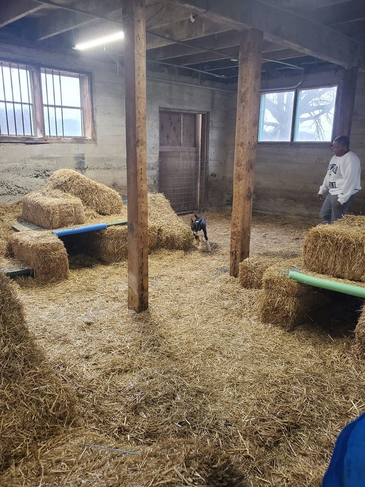 Barn