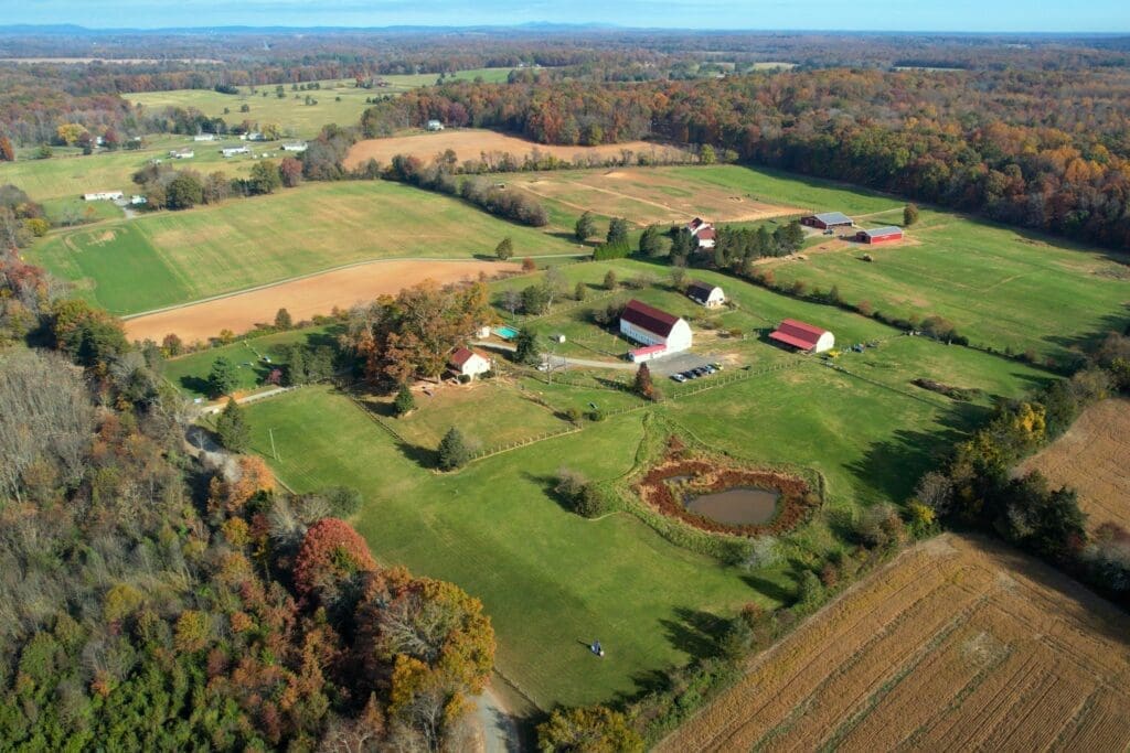 Large aerial view
