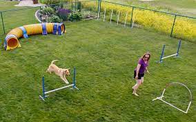 Agility 1 Agility