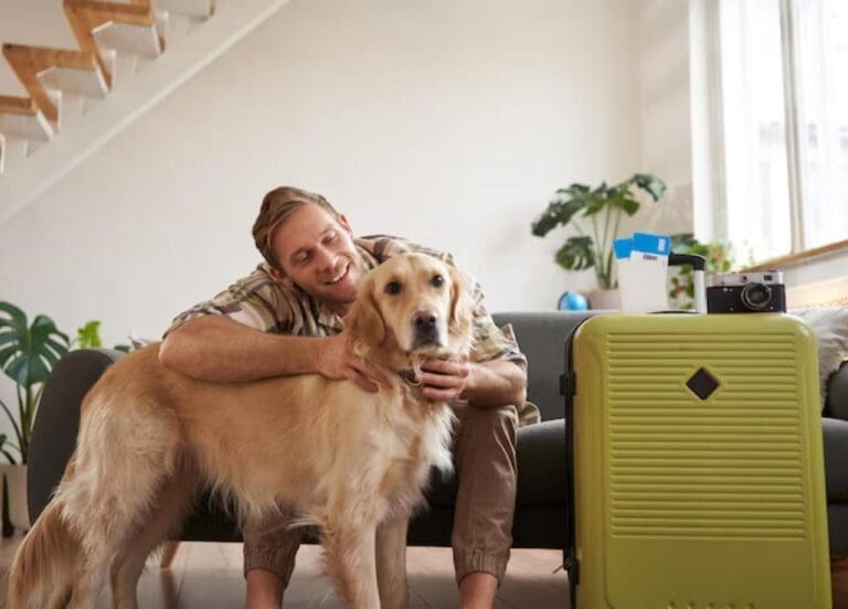 long term dog boarding