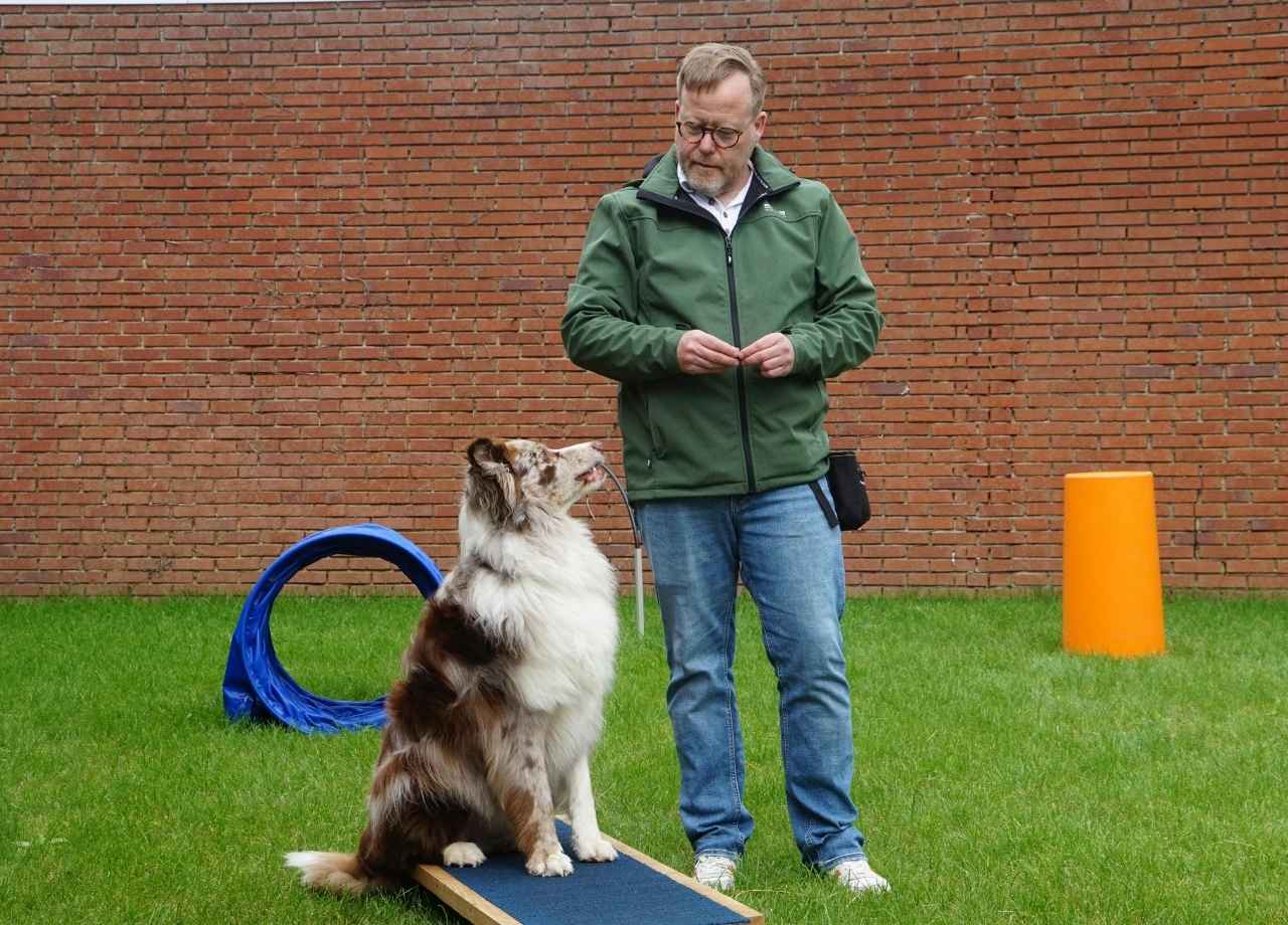 Understanding Dog Body Language