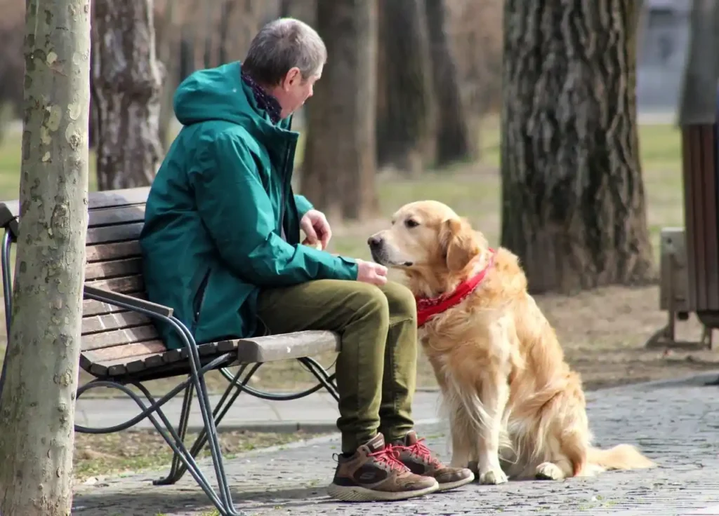 Dog-Friendly Hiking Trails Near Warrenton and Bealeton