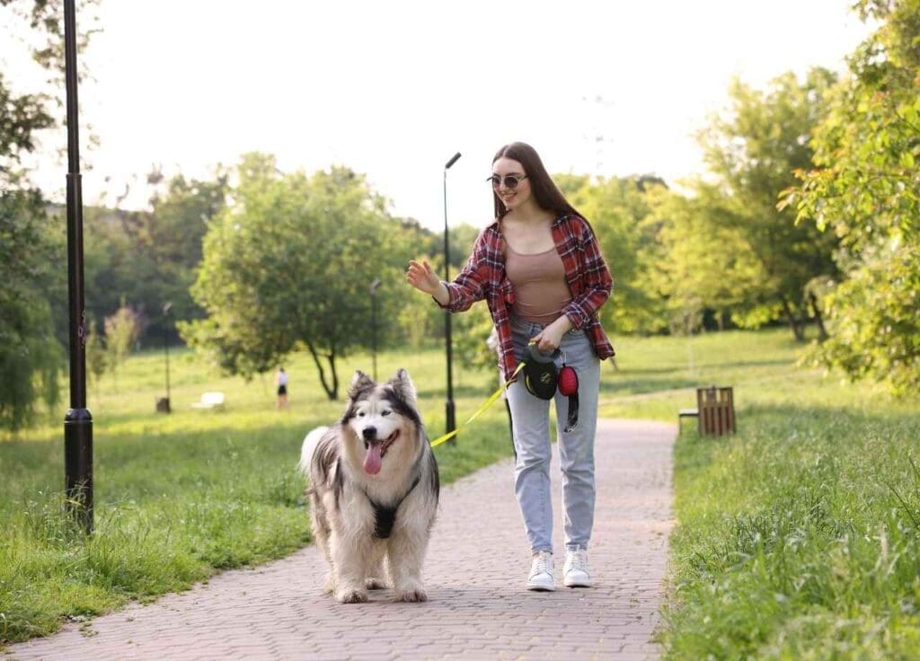 5 Best Dog-Friendly Parks in Culpeper and Warrenton 2 Dog-Friendly Parks in Culpeper and Warrenton